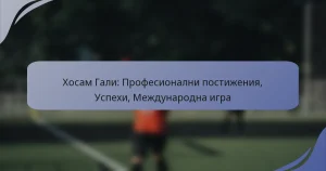 Хосам Гали: Професионални постижения, Успехи, Международна игра