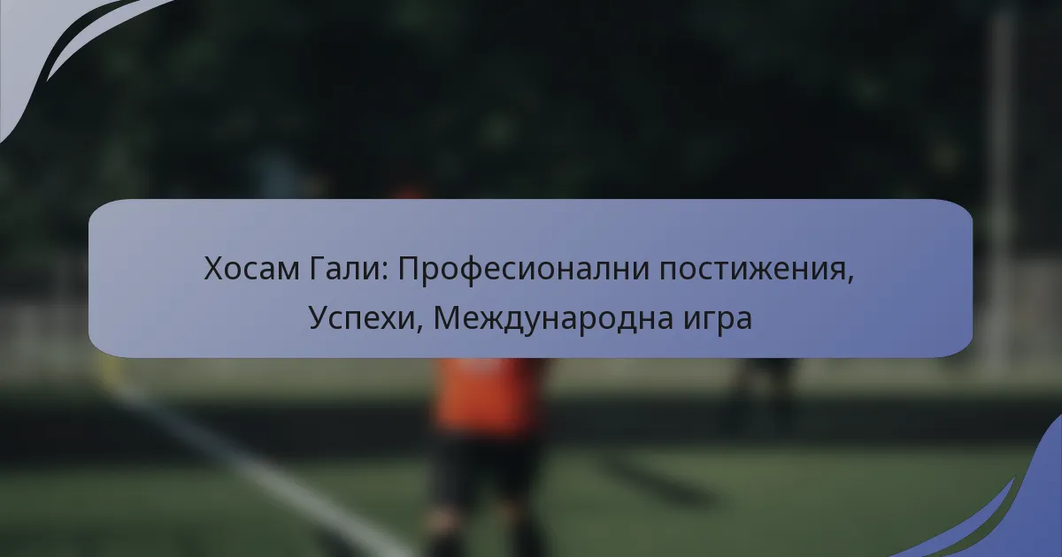 Хосам Гали: Професионални постижения, Успехи, Международна игра
