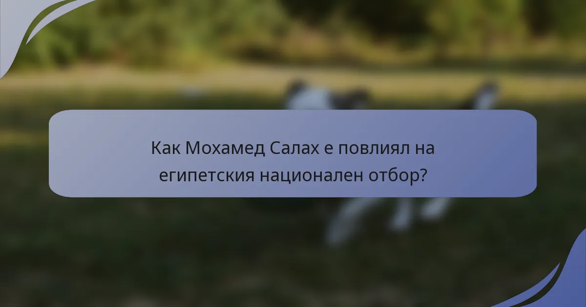 Как Мохамед Салах е повлиял на египетския национален отбор?