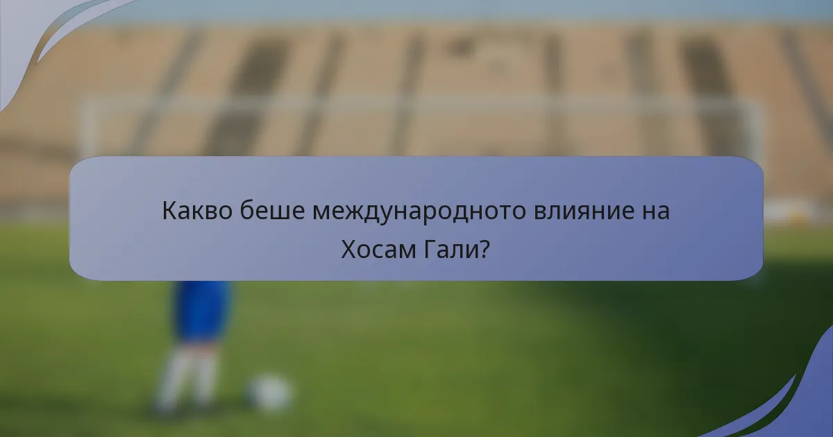 Какво беше международното влияние на Хосам Гали?