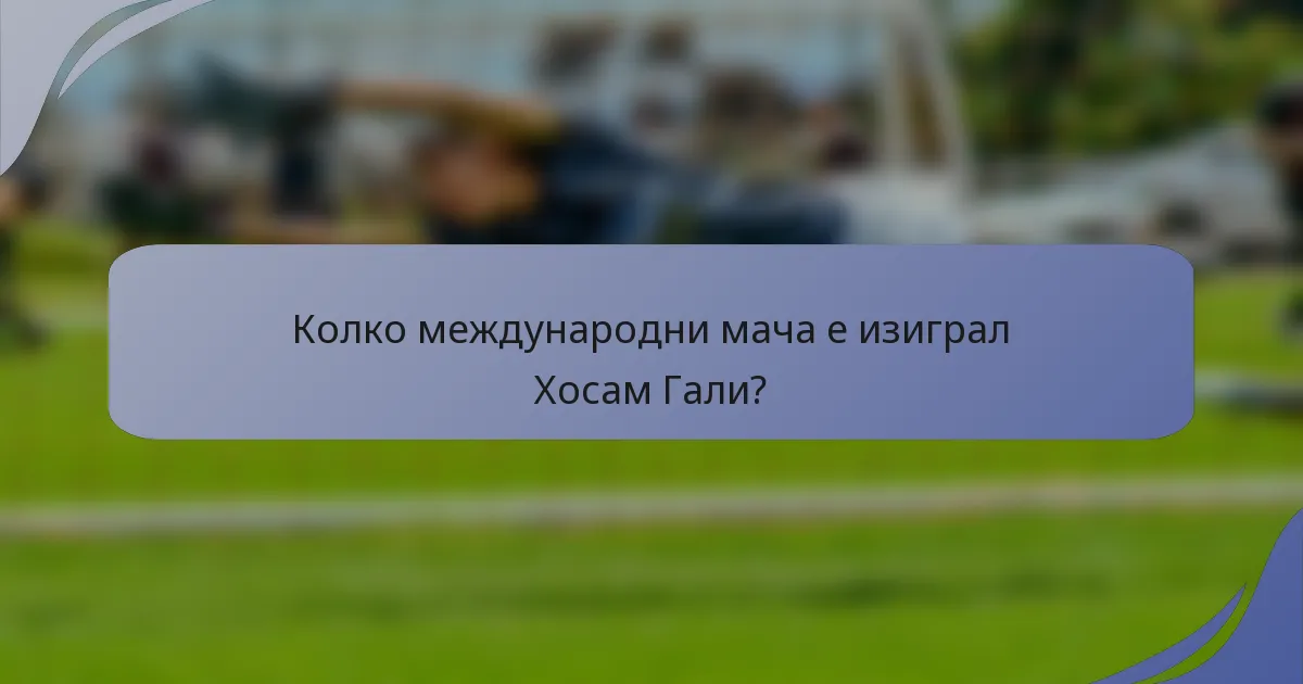 Колко международни мача е изиграл Хосам Гали?