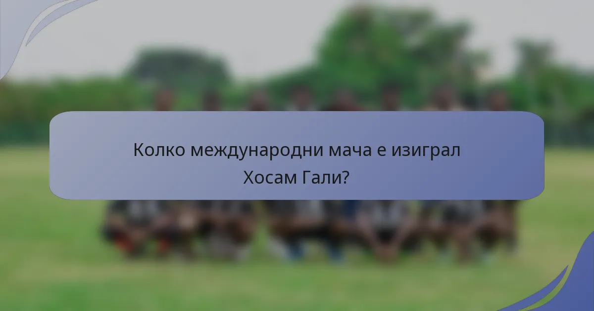 Колко международни мача е изиграл Хосам Гали?