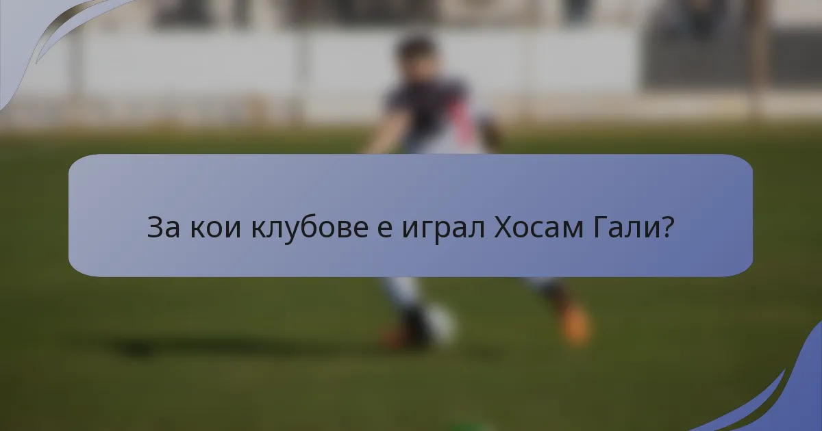За кои клубове е играл Хосам Гали?